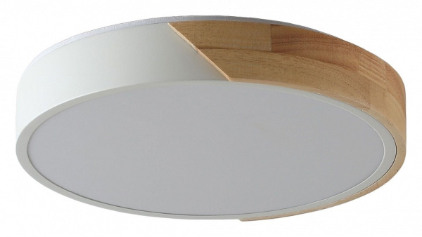 Накладной светильник Zortes Alberro ZRS.01289.24