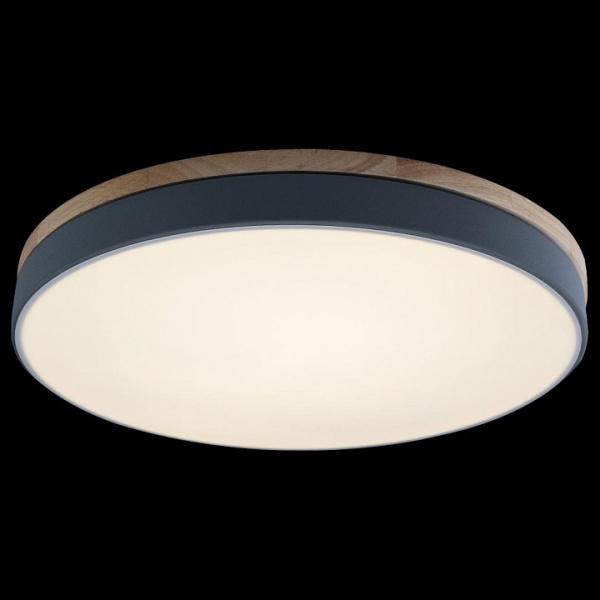 Накладной светильник Loft it Axel 10001/36 Grey