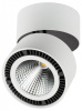 Накладной светильник Lightstar Forte Muro 213830