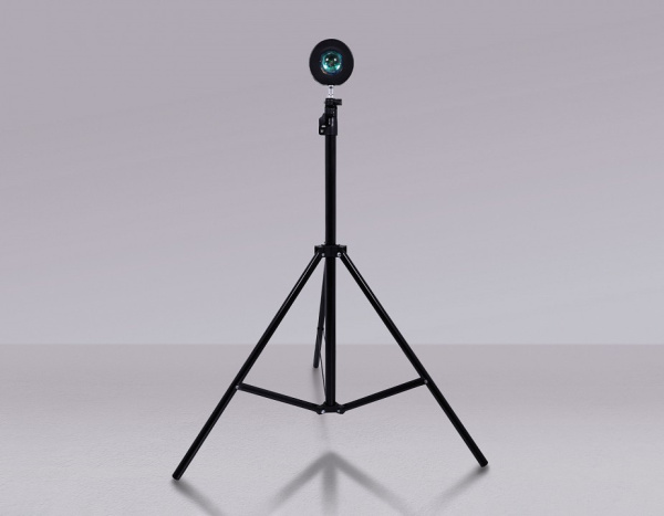 Настольная лампа декоративная Ambrella Light DE DE8387