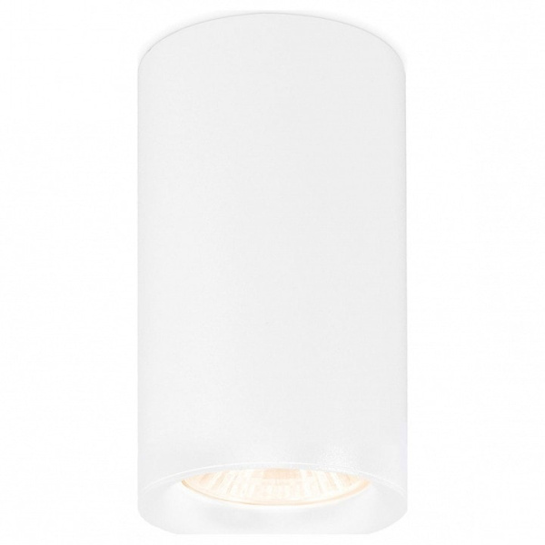 Накладной светильник Ambrella Light TN TN213133