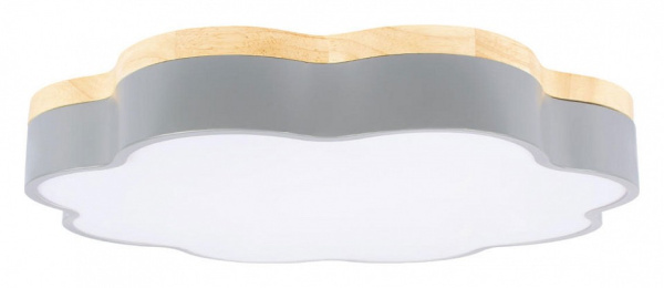 Накладной светильник Loft it Axel 10225/36 Grey