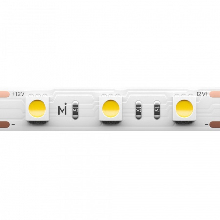 Лента светодиодная Maytoni Base 201185