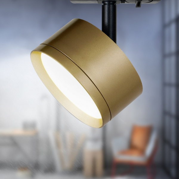 Светильник на штанге Эра TR48 GX53 MG