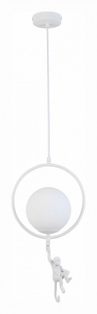 Подвесной светильник EVOLUCE Tenato SLE115113-01