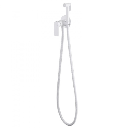 Гигиенический душ Abber Weiss Insel AF8025W со смесителем белый