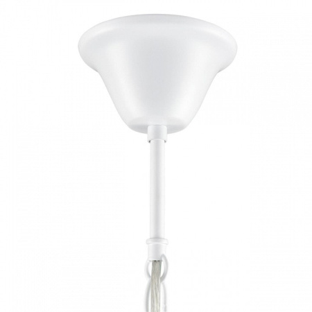 Подвесная люстра Lumion NANA 8260/6