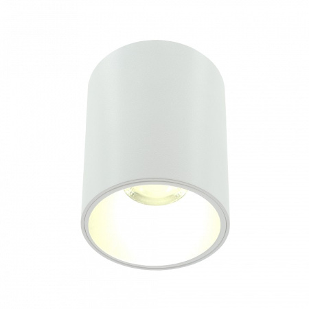 Накладной светильник LIGHTERA Shamrock LE201CL-1WA