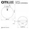 Накладной светильник Citilux ORTON CL202512
