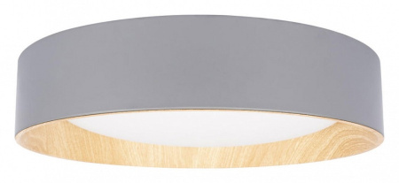 Накладной светильник Loft it Coin 10202 Grey