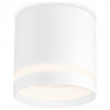 Накладной светильник Ambrella Light TN TN5371