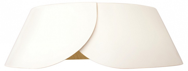 Накладной светильник Loft it Lane 10370 White