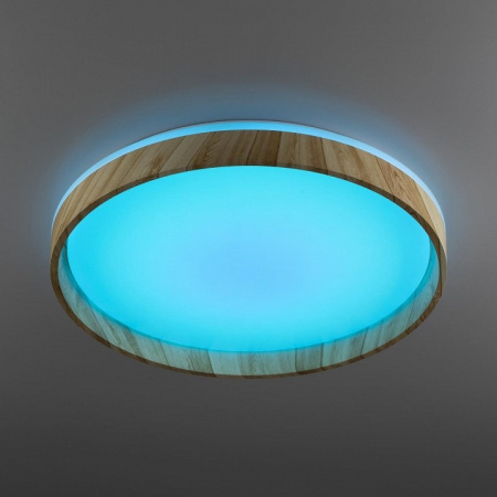 Накладной светильник Citilux ENZO CL753452G