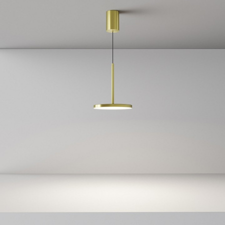 Подвесной светильник Maytoni Plato P076PL-L12W4K-BS