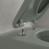 Подвесной унитаз Villeroy&Boch Antao 4674T0R8 утренний зеленый