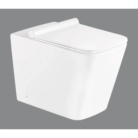 Приставной безободковый унитаз BelBagno Ardente-R BB003CBR