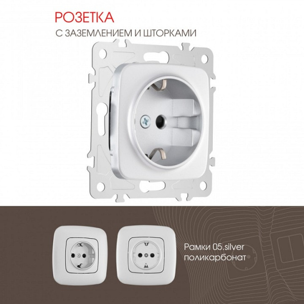 Розетка с заземлением и со шторкой без рамки Arte Milano am-205 205.40-1.silver