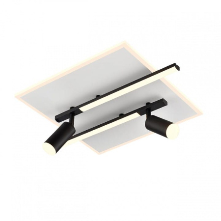 Накладной светильник Lumion STELLS 8256/40CL
