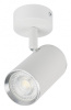 Спот Эра OL35 WH Б0056363