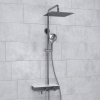 Душевая стойка WasserKRAFT A113.118.101.CH Thermo