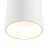 Спот Maytoni Technical Дафна C027CL-L10W