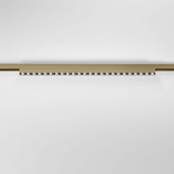 Накладной светильник Elektrostandard  85529/01
