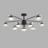 Люстра на штанге Lumion NATALINA 8349/10C
