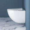 Подвесной унитаз BelBagno Amanda BB051CHR