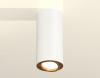 Накладной светильник Ambrella Light XS XS7442004
