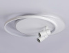 Накладной светильник Ambrella Light FL FL51391