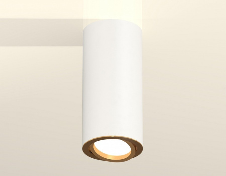 Накладной светильник Ambrella Light XS XS7442004
