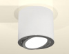 Накладной светильник Ambrella Light XS XS7401003