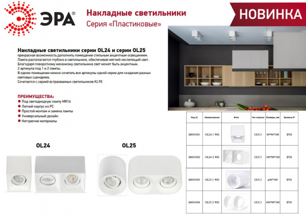 Накладной светильник Эра OL25-1 WH Б0054383