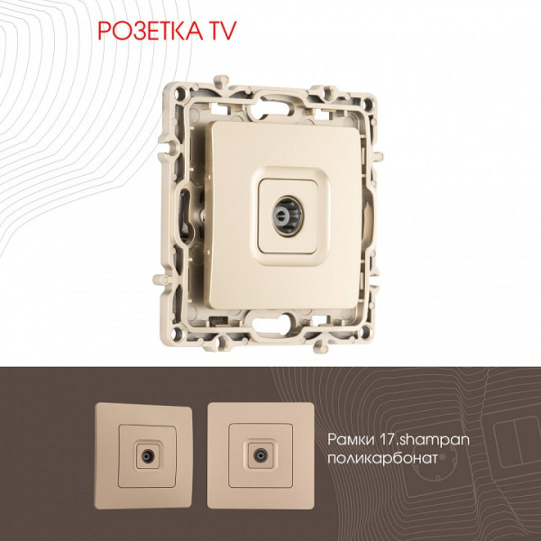 ТВ-розетка без рамки Arte Milano am-217 217.43-1.shampan