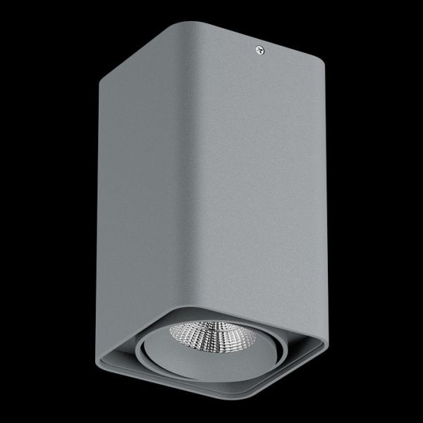 Накладной светильник Lightstar Monocco 052139