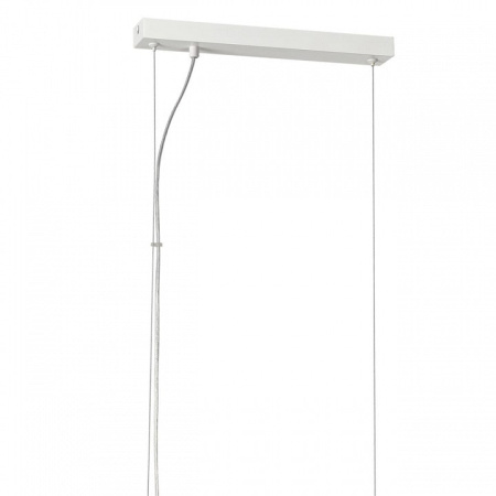 Подвесной светильник Lumion Dana 8006/5A