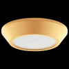 Накладной светильник Lightstar Urbano mini 214732