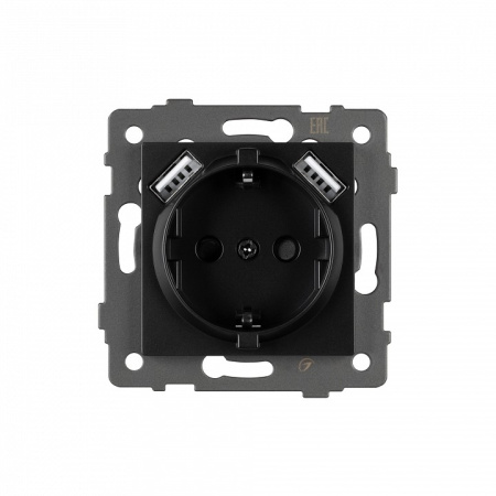 Розетка с заземлением и 2хUSB type A, без рамки Arlight SCT 049819