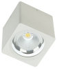 Накладной светильник Fiberli CH-SD220 12120103