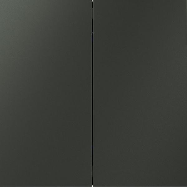 Выключатель двухклавишный без рамки Voltum S70 VLS020606