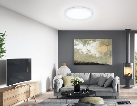 Накладной светильник Ambrella Light FZ FZ1955