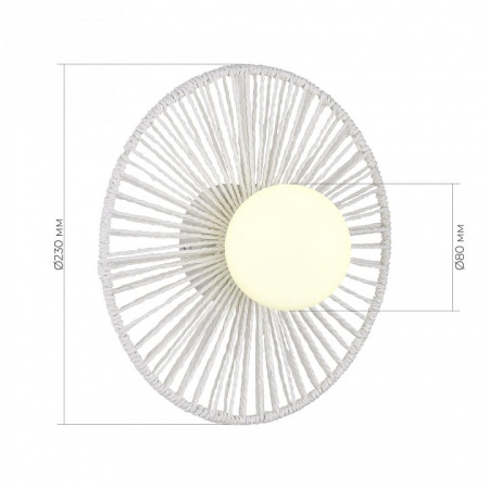 Накладной светильник EVOLUCE LOOM SLE6022-501-01