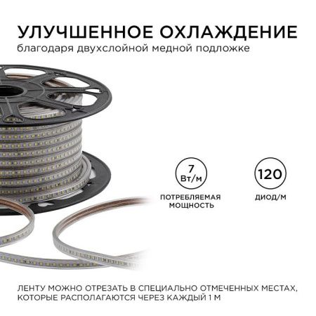 Лента светодиодная OGM  O17-08