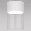 Накладной светильник Elektrostandard Lumen a064710