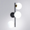 Бра Arte Lamp Gemini A2243PL-3BK