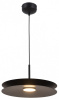 Подвесной светильник Moderli Montana V11111-PL