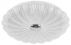 Накладной светильник Lightstar Arco Shell 225650