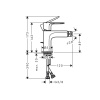 Смеситель для биде Hansgrohe Rebris E 72213670 черный матовый
