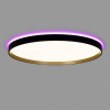 Накладной светильник Citilux ETALON CL750501R