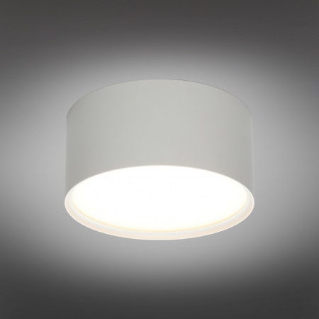 Накладной светильник Omnilux Abano OML-103309-12